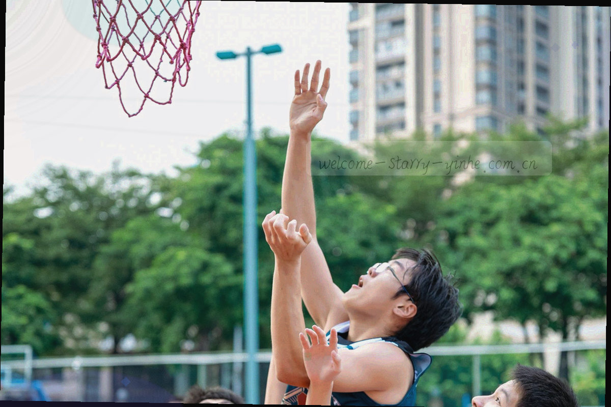 四条同心轨道围绕同一中心点，每条轨道标注编号与栏目名